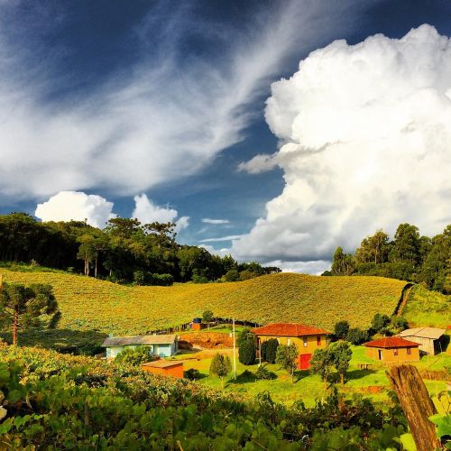 landscape rural brazil