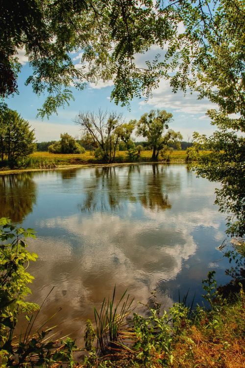 landscape river nature