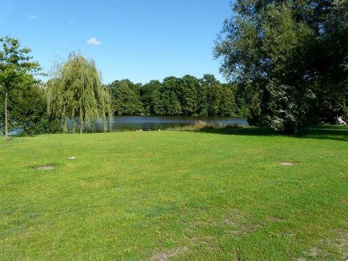 landscape meadow lake