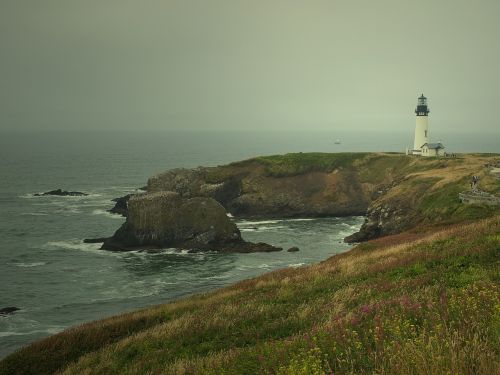 landscape west coast scenic