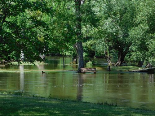 landscape nature green