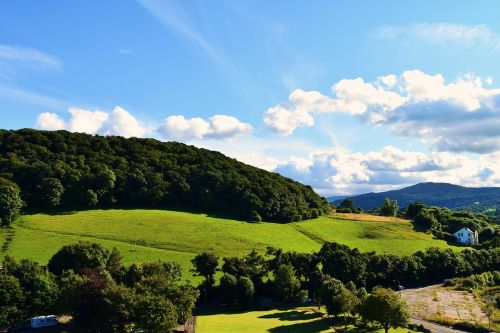 landscape nature summer