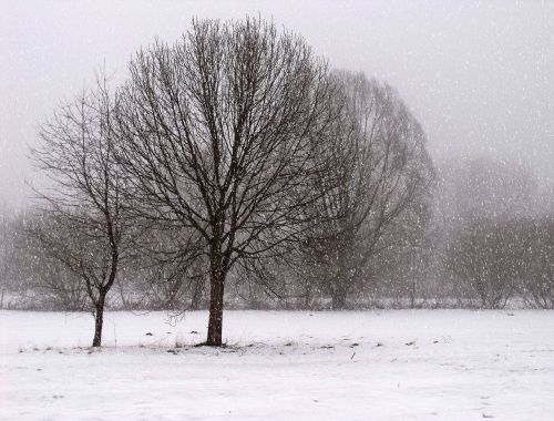 landscape winter cold