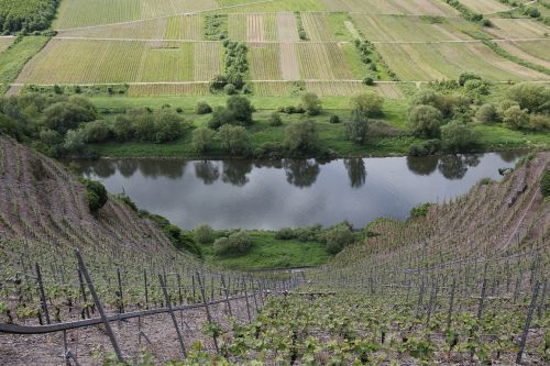 landscape nature mosel