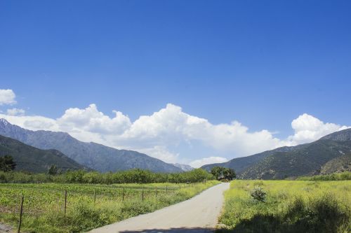 landscape chile field