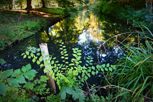 landscape waterway moat