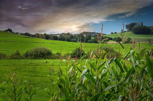 landscape nature lichtspiel