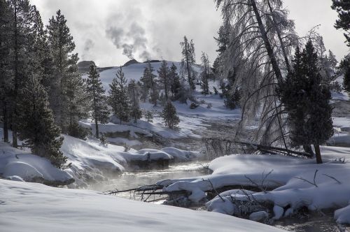 landscape yellowstone national park wyoming