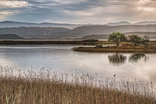 landscape misty seascape