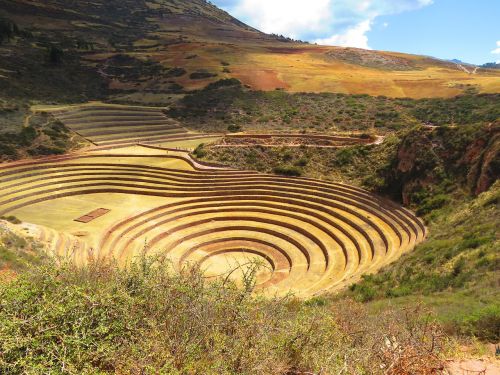 landscape agriculture terraces