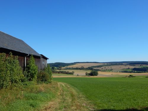 landscape summer nature