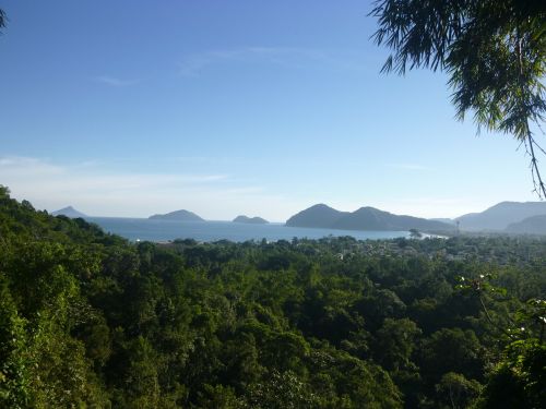 landscape nature trees