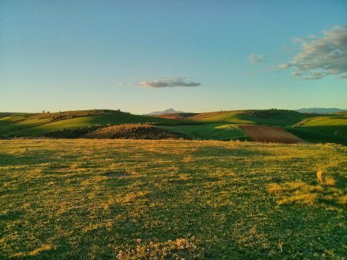 landscape green yellow