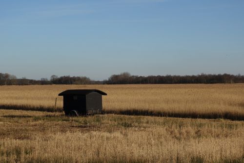 landscape the wieden the weerribben