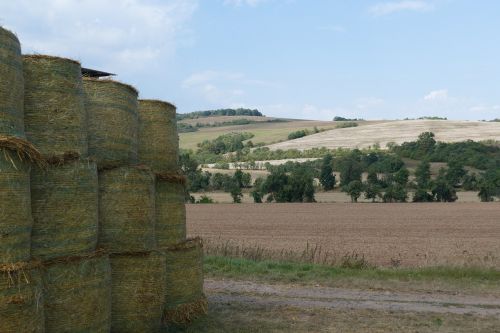 landscape panorama straw bales