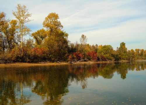 landscape nature autumn