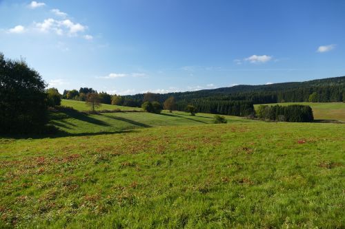 landscape meadow nature