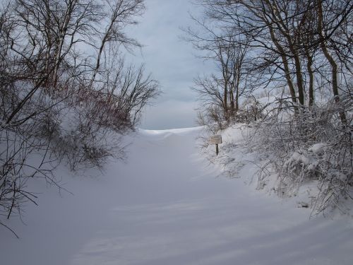 landscape winter snow