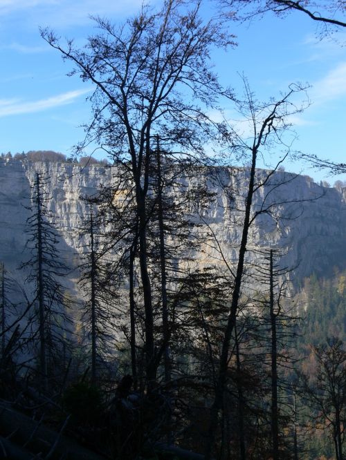 landscape mountain nature