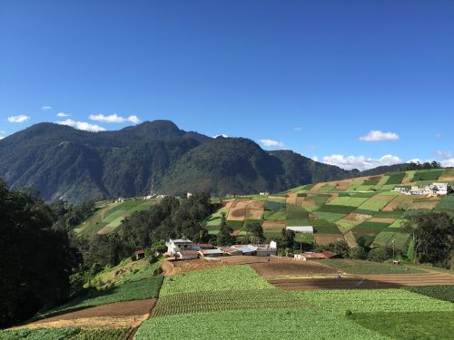 sirmbra landscape orchard