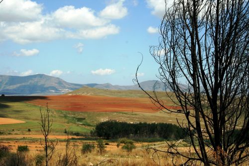 landscape veld mountains