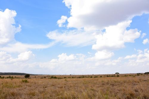 landscape kenya savanna