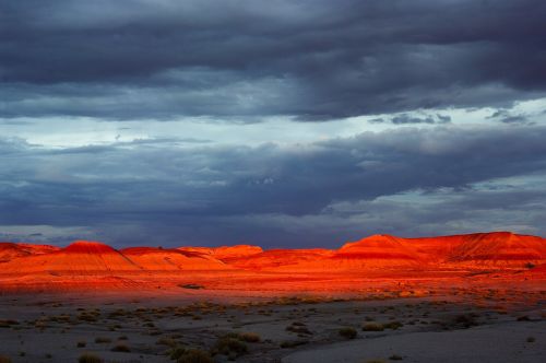 landscape scenic petrified forest