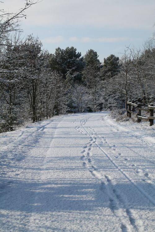 landscape winter rest