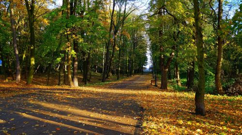 landscape view nature