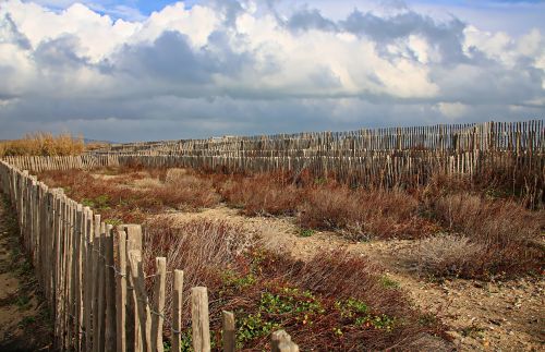 landscape scrubland beach