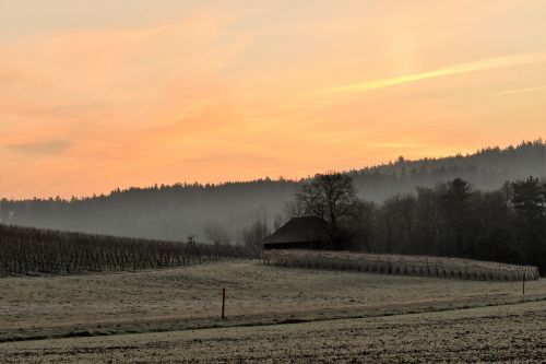 landscape morgenrot morgenstimmung