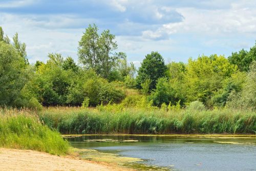 landscape trees lake