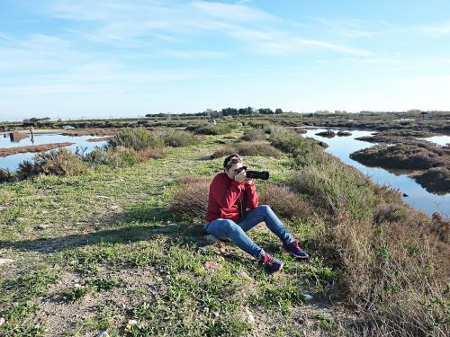 landscape green camargue