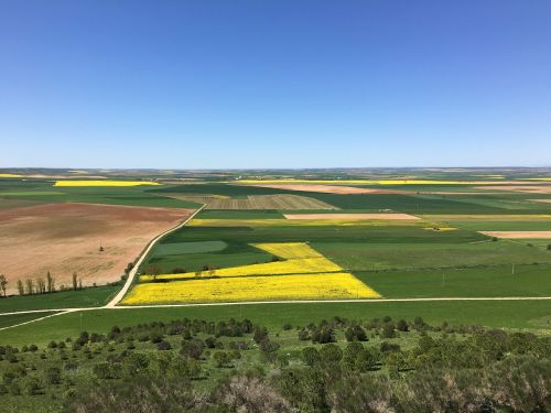 landscape field nature