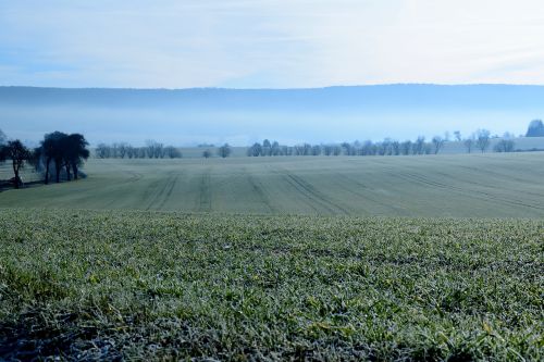 landscape frozen hoarfrost