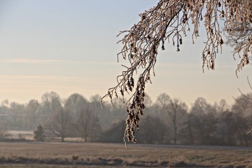 landscape winter frost