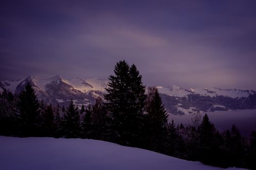 landscape wintry winter