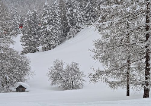 landscape snow winters