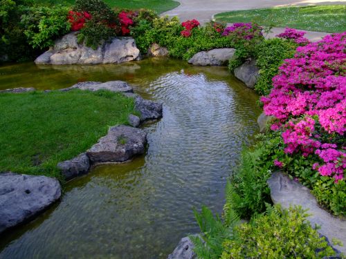 landscape japanese garden ornamental garden