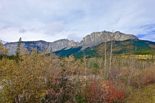 landscape rockies canada