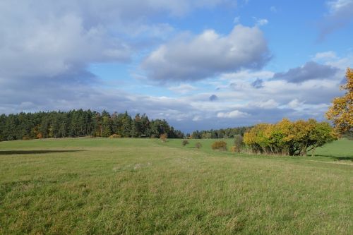 landscape autumn meadow