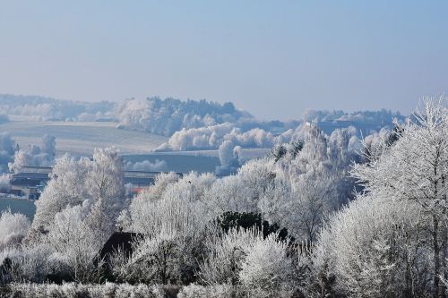 landscape winter trees