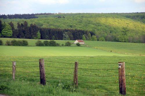 landscape fence forest