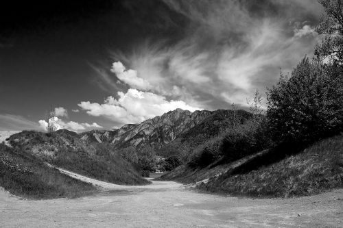 landscape black and white dramatic