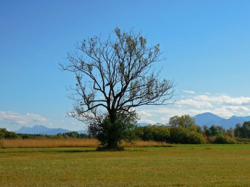 landscape chiemsee upper bavaria