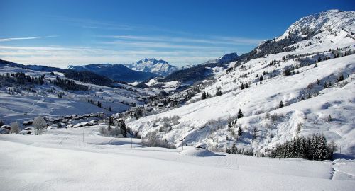 landscape winters nature