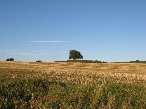 landscape burgundy nièvre