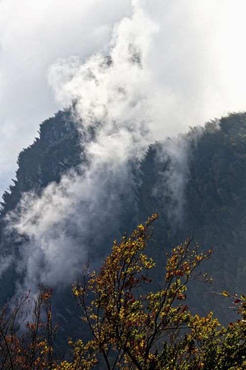 landscape mountains fog