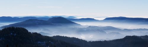 landscape sea of fog black forest