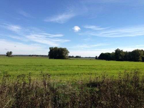 landscape meadow sky